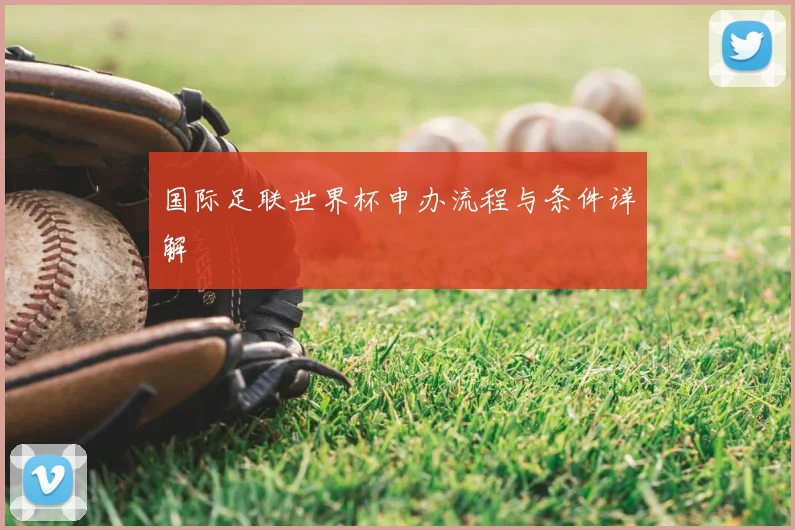 国际足联世界杯申办流程与条件详解